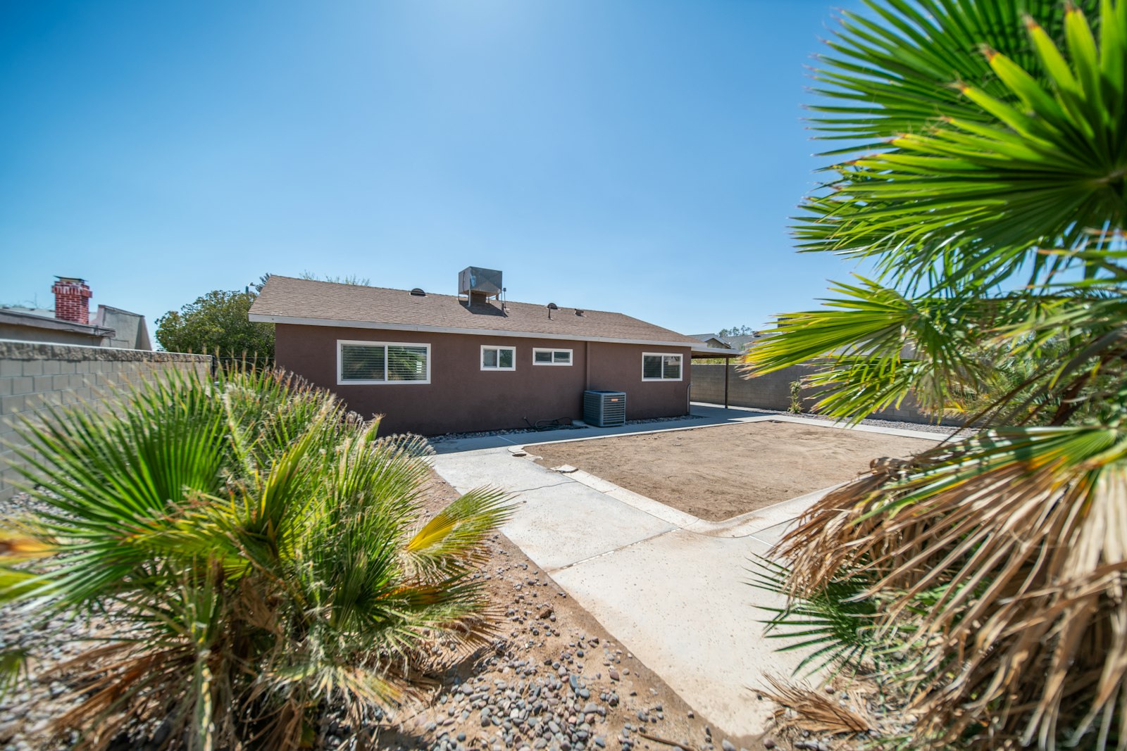 Palm tree standing in front of a home